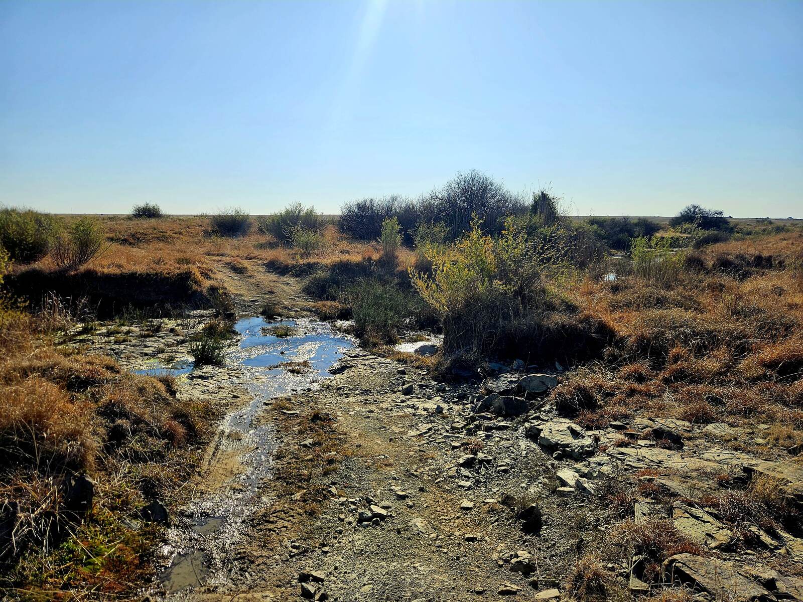 Natural spring water crossing the veld on Morgenson Farm